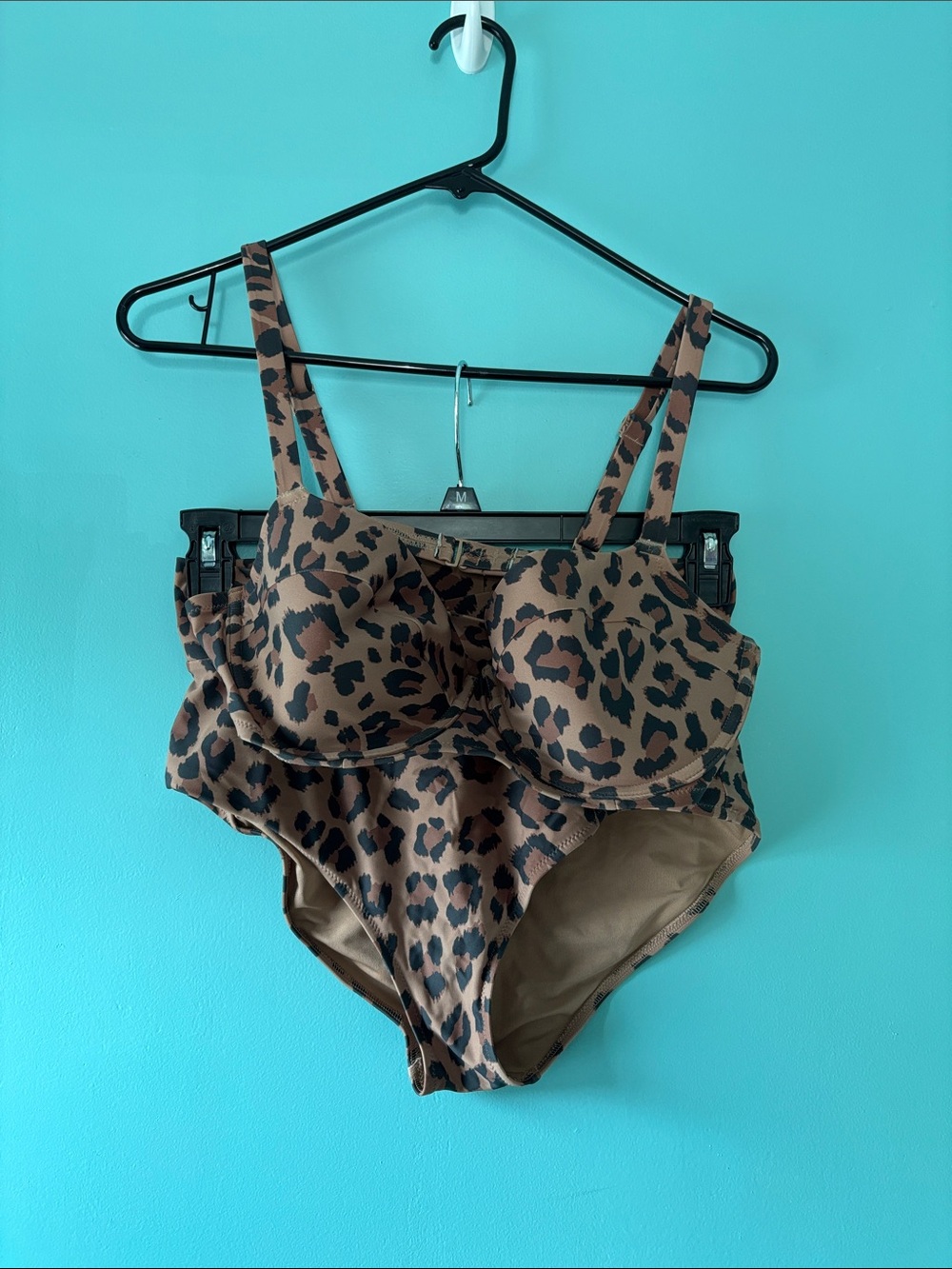 aerie Leopard Print Bikini